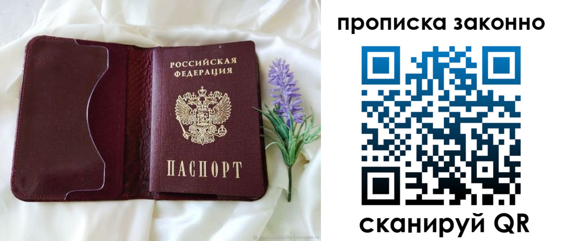 регистрация в Судогде